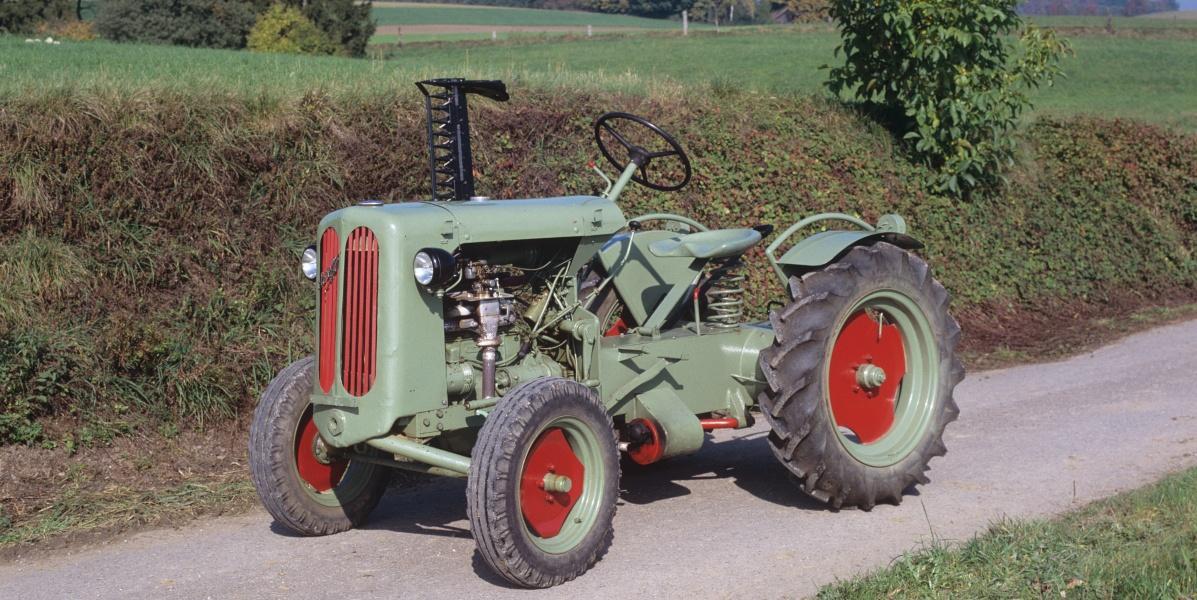Schaffer 1952