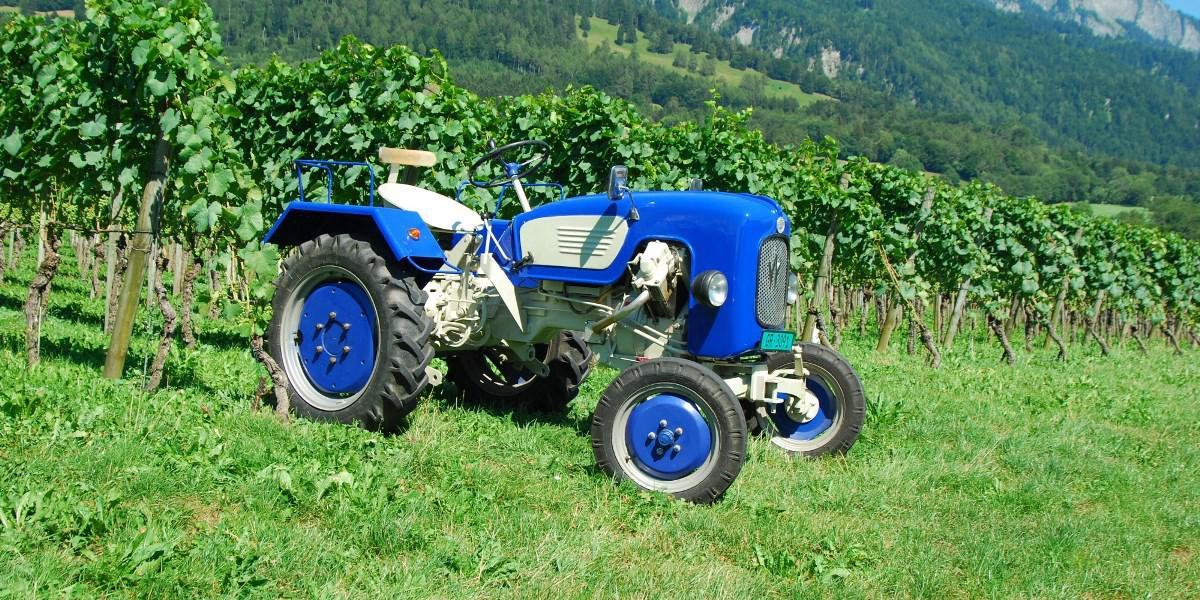 Warchalowski WT 20 1960